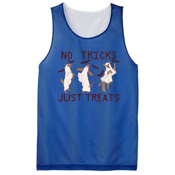 Funny Ghost Dog Halloween No Tricks Just Treats Gift Mesh Reversible Basketball Jersey Tank