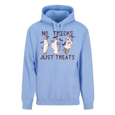 Funny Ghost Dog Halloween No Tricks Just Treats Gift Unisex Surf Hoodie