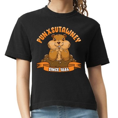 Funny Groundhog Day Phil Cute Ground Hog Punxsutawney Comfort Colors Boxy T-Shirt