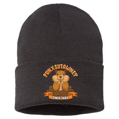 Funny Groundhog Day Phil Cute Ground Hog Punxsutawney Sustainable Knit Beanie
