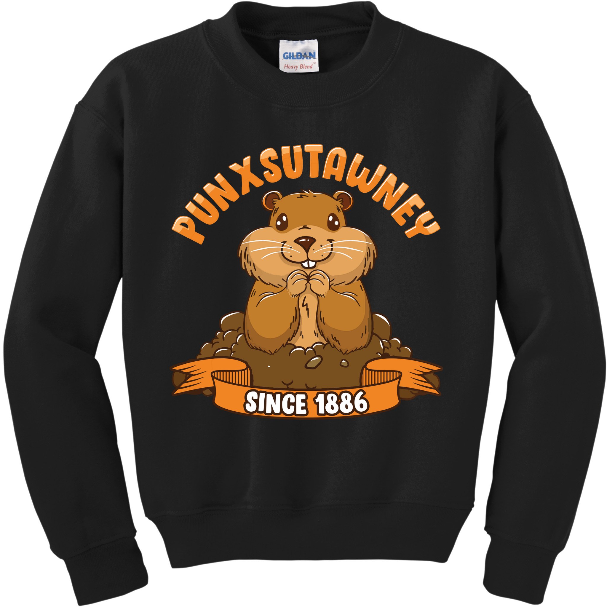Funny Groundhog Day Phil Cute Ground Hog Punxsutawney Kids Sweatshirt