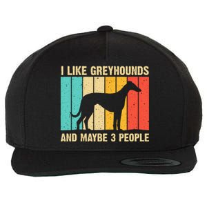 Funny Greyhound Design Women Italian Greyhound Dog Lover Wool Snapback Cap