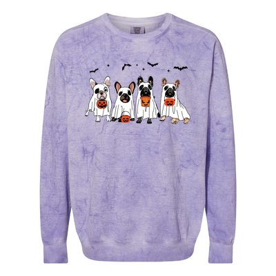 Frenchie Ghost Dog Costume Funny French Bulldog Halloween Colorblast Crewneck Sweatshirt