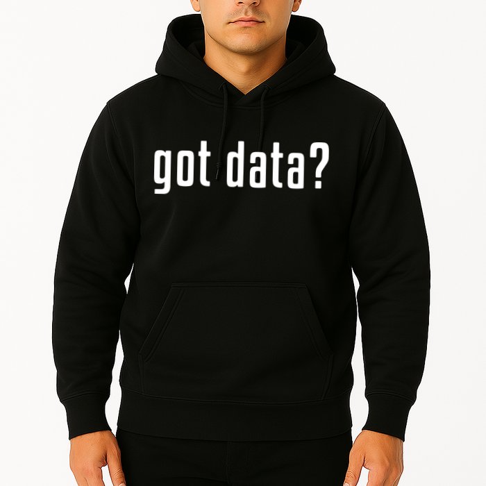 Funny Got Data MIS Data Systems Business Analyst Hoodie