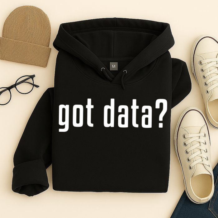 Funny Got Data MIS Data Systems Business Analyst Hoodie