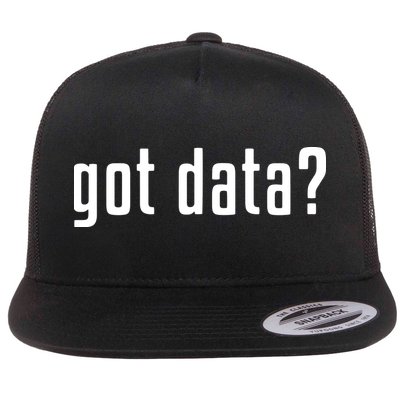 Funny Got Data MIS Data Systems Business Analyst Flatbill Hat