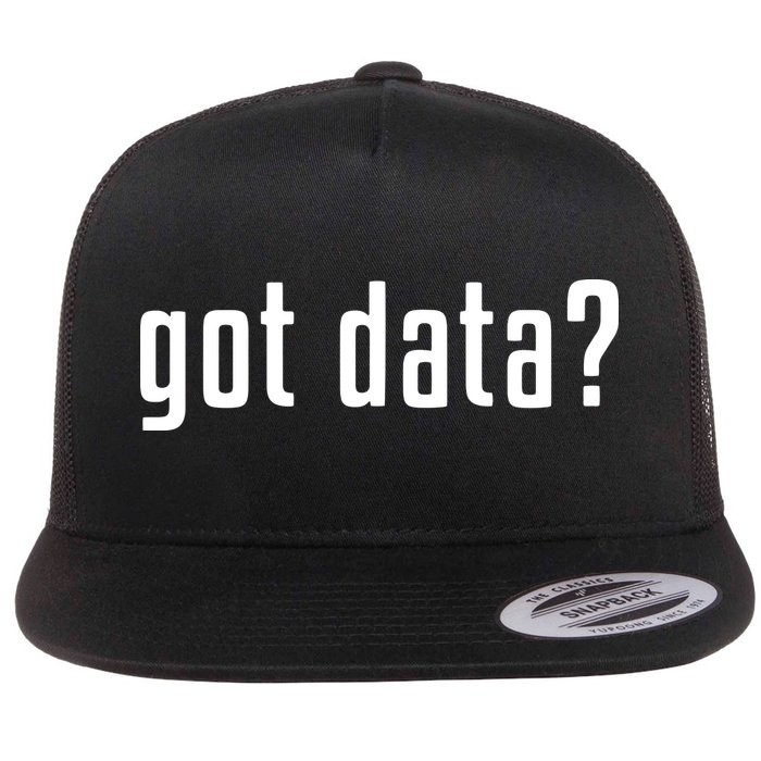 Funny Got Data MIS Data Systems Business Analyst Flatbill Hat