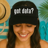 Funny Got Data MIS Data Systems Business Analyst Visor