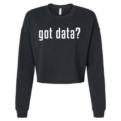 Funny Got Data MIS Data Systems Business Analyst Cropped Pullover Crew