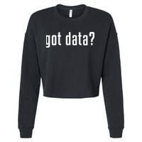 Funny Got Data MIS Data Systems Business Analyst Cropped Pullover Crew
