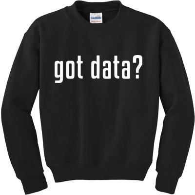Funny Got Data MIS Data Systems Business Analyst Kids Sweatshirt