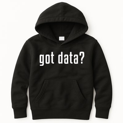 Funny Got Data MIS Data Systems Business Analyst Kids Hoodie