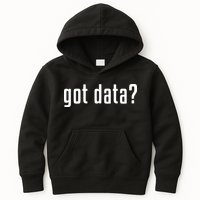 Funny Got Data MIS Data Systems Business Analyst Kids Hoodie