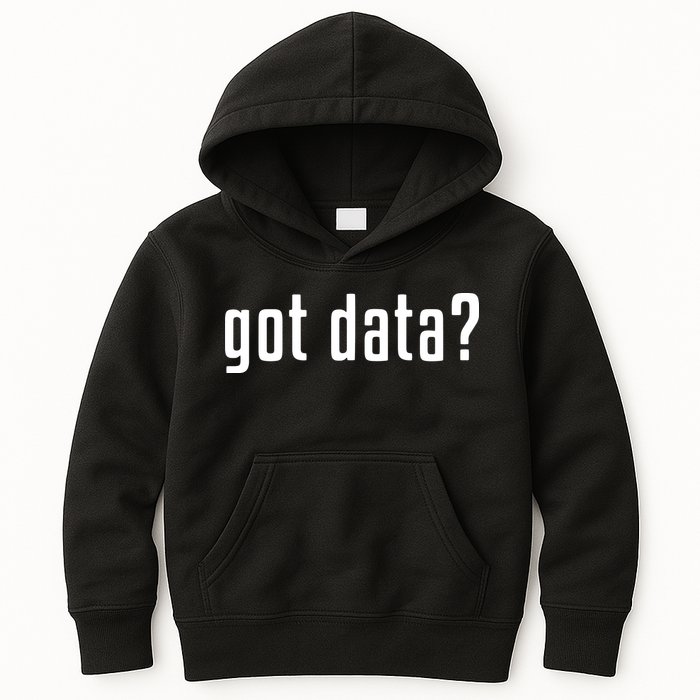 Funny Got Data MIS Data Systems Business Analyst Kids Hoodie