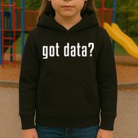 Funny Got Data MIS Data Systems Business Analyst Kids Hoodie