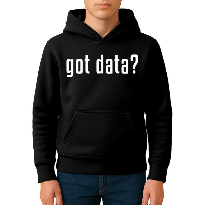 Funny Got Data MIS Data Systems Business Analyst Kids Hoodie