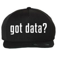 Funny Got Data MIS Data Systems Business Analyst Wool Snapback Cap