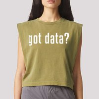 Funny Got Data MIS Data Systems Business Analyst Garment-Dyed Women's Muscle Tee