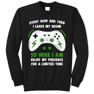 Funny Gamer Every Now And Then I Leave My Room Gaming Sweatshirt