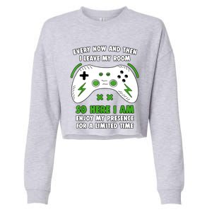 Funny Gamer Every Now And Then I Leave My Room Gaming Cropped Pullover Crew