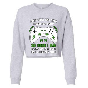 Funny Gamer Every Now And Then I Leave My Room Gaming Cropped Pullover Crew