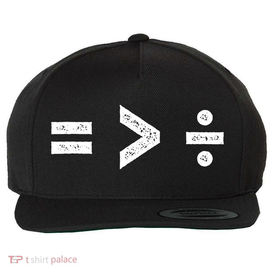 Funny Gift Equality Is Greater Than Division Symbols Gift Wool Snapback Cap