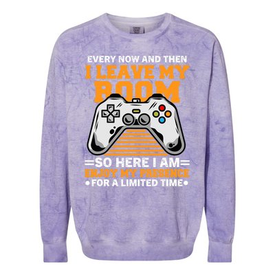 Funny Gamer Every Now And Then I Leave My Room Gaming Lover Colorblast Crewneck Sweatshirt