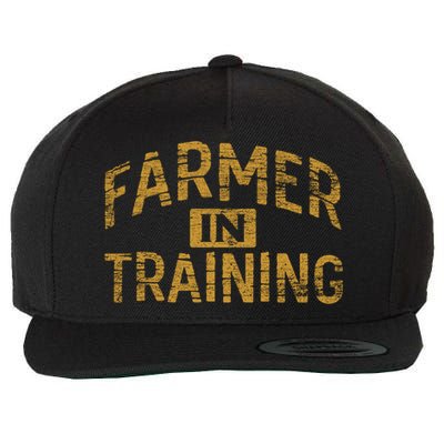 Farm Gift Farming Lover Future Farmer Gift Wool Snapback Cap