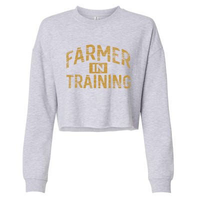 Farm Gift Farming Lover Future Farmer Gift Cropped Pullover Crew