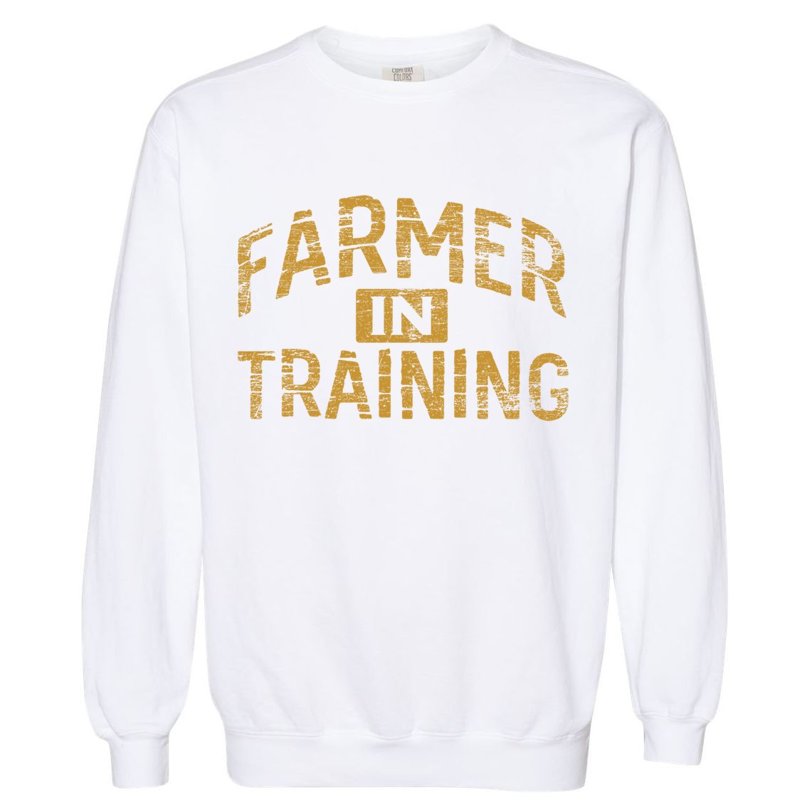 Farm Gift Farming Lover Future Farmer Gift Garment-Dyed Sweatshirt
