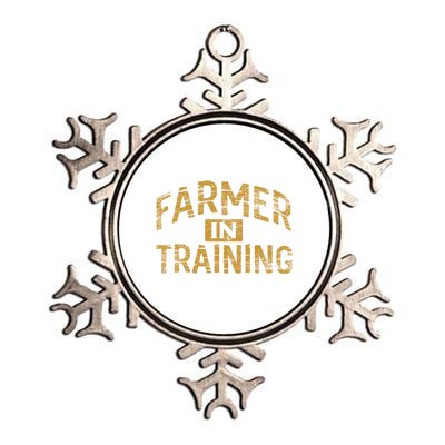 Farm Gift Farming Lover Future Farmer Gift Metallic Star Ornament