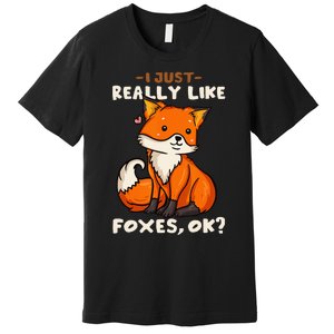 Foxes Gift For Fox Lovers I Just Really Like Foxes Ok Premium T-Shirt