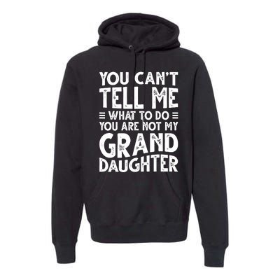 Funny Grandpa For Grandfather Papa Birthday Premium Hoodie