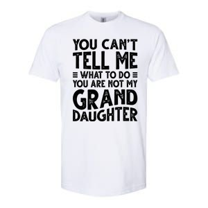 Funny Grandpa For Grandfather Papa Birthday Softstyle CVC T-Shirt