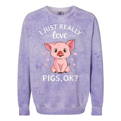 Funny Gift For Piggy Pig Hog Lovers Farmers I Just Really Love Pigs Ok? Hog Love Colorblast Crewneck Sweatshirt