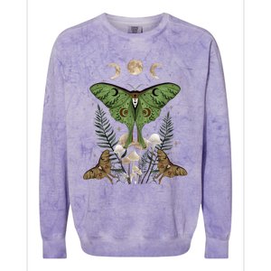 Fairy Grunge Fairycore Aesthetic Goth Luna Moth Mushroom Colorblast Crewneck Sweatshirt