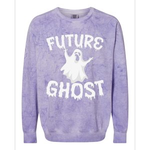 Future Ghost Funny Halloween Boo Spooky Trick Or Treat Gift Colorblast Crewneck Sweatshirt