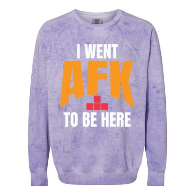 Funny Gift For A Pc Gamer I Went Afk To Be Here T Gift Colorblast Crewneck Sweatshirt