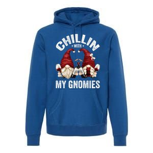 Funny Gnome For Wine Lover Who Loves Chillin With My Gnomies Great Gift Premium Hoodie