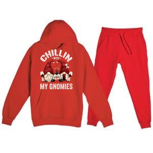 Funny Gnome For Wine Lover Who Loves Chillin With My Gnomies Great Gift Premium Hooded Sweatsuit Set