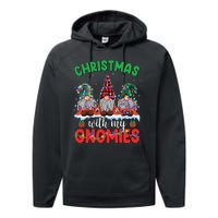 Festive Gnome Family Pajama Set Performance Fleece Hoodie