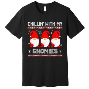 Festive Gnome Family Christmas Matching Outfits Premium T-Shirt