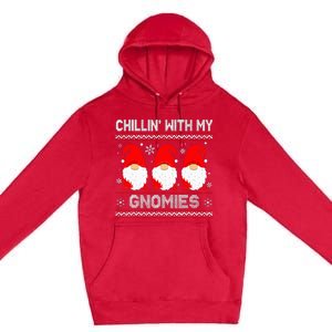 Festive Gnome Family Christmas Matching Outfits Premium Pullover Hoodie