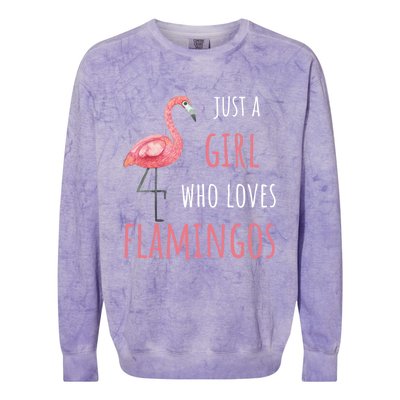 Flamingo Great Gift/ Gift Who Loves Flamingos Gift Colorblast Crewneck Sweatshirt