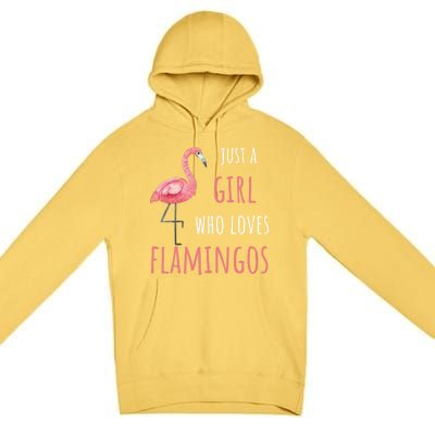 Flamingo Great Gift/ Gift Who Loves Flamingos Gift Premium Pullover Hoodie