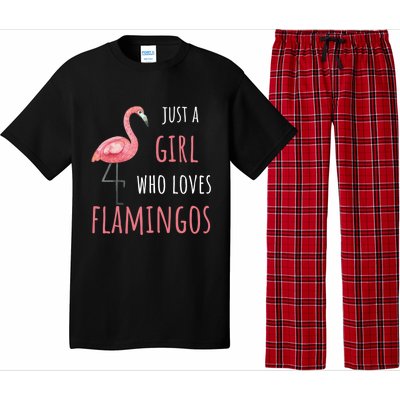 Flamingo Great Gift/ Gift Who Loves Flamingos Gift Pajama Set