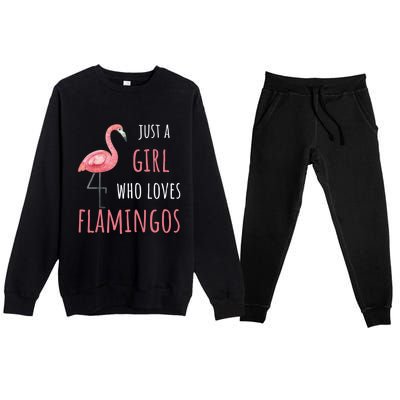 Flamingo Great Gift/ Gift Who Loves Flamingos Gift Premium Crewneck Sweatsuit Set