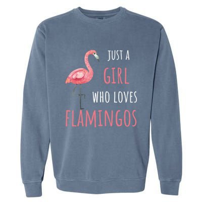 Flamingo Great Gift/ Gift Who Loves Flamingos Gift Garment-Dyed Sweatshirt