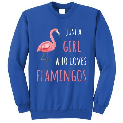 Flamingo Great Gift/ Gift Who Loves Flamingos Gift Sweatshirt