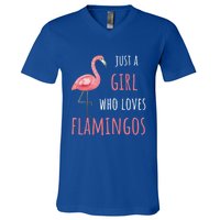 Flamingo Great Gift/ Gift Who Loves Flamingos Gift V-Neck T-Shirt